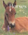 Horses by Rebecca Stefoff, Ka Botzis, 9780761411390