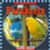 Parakeets by JoAnn Early Macken, 9780836838473 Parakeets by JoAnn Early Macken, 9780836838473