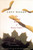 Lost Woods (The Discovered Writing of Rachel Carson) by Rachel Carson, 9780807085479