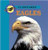 101 Facts About Eagles by J. Lou Barnes, 9780836840360