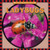 Ladybugs - 9780836840551 by Susan Ashley