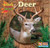 Deer - 9780836844818 by JoAnn Early Macken, 9780836844818