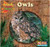 Owls - 9780836844849 by JoAnn Early Macken, 9780836844849