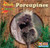 Porcupines - 9780836844856 by JoAnn Early Macken, 9780836844856
