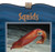 Squids - 9780836845648 by Valerie J. Weber, 9780836845648