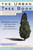 The Urban Tree Book (An Uncommon Field Guide for City and Town) by Arthur Plotnik, 9780812931037