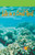 Life in a Coral Reef - 9781404233423 by Brian Brinkworth