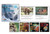 Animals and Their Senses / Los sentidos de los animales by , 9780836848137
