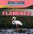 The Life Cycle of a Flamingo by JoAnn Early Macken, 9780836863826