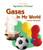 Gases in My World by Joanne Randolph, 9781404232846