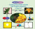 Learning About Plant Growth with Graphic Organizers by Jonathan Kravetz, 9781404234130