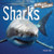Sharks - 9781404235199 by Therese M. Shea, 9781404235199