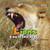 Lions - 9781404236318 by Amelie von Zumbusch, 9781404236318