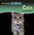 Cats Are Night Animals by Joanne Mattern, 9780836878462