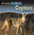 Coyotes Are Night Animals by Joanne Mattern, 9780836878479