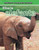 Elisa la elefanta (Ella the Elephant) by Jan Latta, 9780836879667