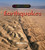 Earthquakes - 9780761421023 by Joe Thoron
