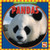 Pandas - 9780836882209 by Kathleen Pohl
