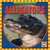 Alligators - 9780836882247 by Kathleen Pohl, 9780836882247
