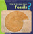What Do You Know About Fossils? by Suzanne Slade, 9781404241978
