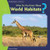 What Do You Know About World Habitats? by Suzanne Slade, 9781404241985