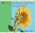 Sunflowers Up Close / Los girasoles by Katie Franks, 9781404276802