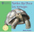 Turtles Up Close / Las tortugas by Katie Franks, 9781404276819