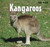 Kangaroos - 9781404241459 by Alice Twine, 9781404241459