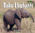 Baby Elephants - 9781404241480 by Alice Twine, 9781404241480