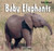 Baby Elephants - 9781404241480 by Alice Twine