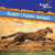 Nature's Fastest Animals by Frankie Stout, 9781404241565