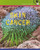 Skin Cancer - 9780761427032 by Marjorie L. Buckmaster