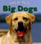 Big Dogs - 9780761427070 by Joyce Hart