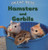Hamsters and Gerbils - 9780761429999 by Carol Ellis, 9780761429999