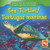 Sea Turtles / Tortugas marinas - 9780836893496 by Valerie J. Weber, 9780836893496