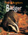 Badger by Michael Leach, 9781404245716