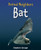 Bat - 9781404245723 by Stephen Savage, 9781404245723
