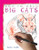 How to Draw Big Cats by Carolyn Franklin, 9781435825161