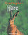 Hare - 9781435849976 by Michael Leach, 9781435849976