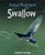Swallow - 9781435849990 by Stephen Savage