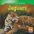Jaguars - 9781433900235 by Julie Guidone, 9781433900235