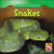 Snakes - 9781433900273 by Julie Guidone, 9781433900273