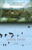 Pretty Birds (A Novel) by Scott Simon, 9780812973303