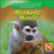 Monkeys / Monos - 9781433900631 by Julie Guidone, 9781433900631