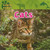 Cats - 9781433920226 by Christina Wilsdon, 9781433920226