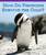 How Do Penguins Survive the Cold? by Mary Ann Hoffman, 9781435829695
