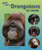 Orangutans Up Close - 9781598454192 by Carmen Bredeson, 9781598454192