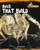 Bugs That Build by Cari Jackson, 9780761431916