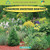 Examining Backyard Habitats by Zelda King, 9781435827202