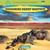 Examining Desert Habitats by Zelda King, 9781435827219
